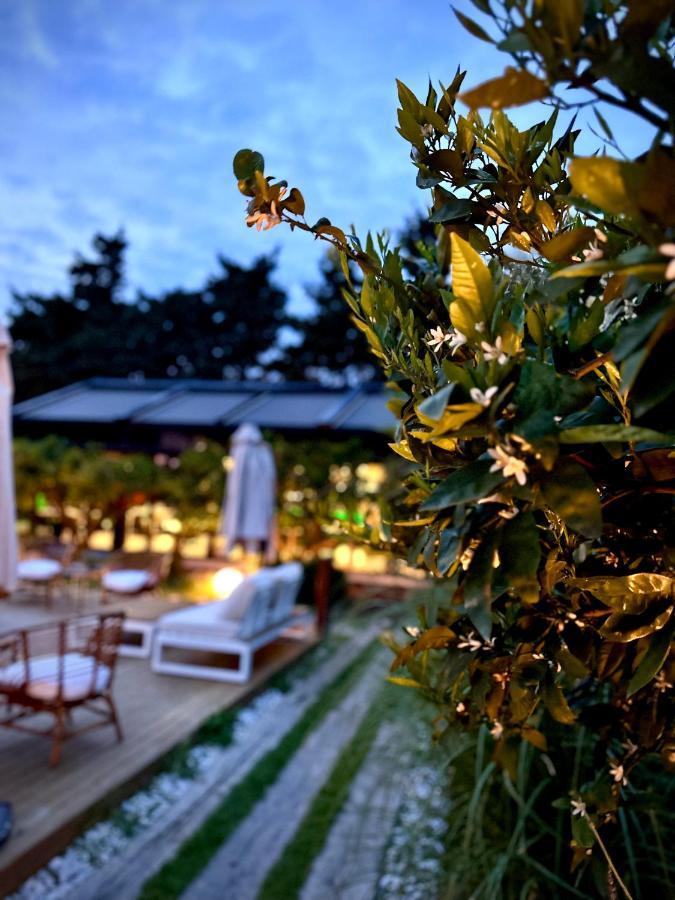 Tiny Town Kuyucak Hotel Карабурун Екстериор снимка